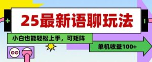 25年最新语聊玩法,纯手工,单机收益100+,小白也能轻松上手,可矩阵操作-大兵轻创资源库