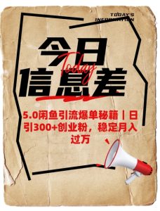 5.0闲鱼引流爆单秘籍，日引300+创业粉，稳定月入过W-大兵轻创资源库