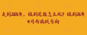 走到2025年,短剧还能怎么玩?短剧25年4月份搞钱方向-大兵轻创资源库