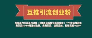 【0撸项目互推引流创业粉】一个微信每天免费引流30-50精准创业粉,免费引流,当天见效,轻松变现几张-大兵轻创资源库