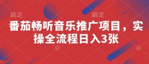 番茄畅听音乐推广项目,实操全流程日入3张-大兵轻创资源库
