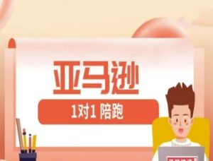 亚马逊1对1陪跑课(FBA/FBM精铺)跨境亚马逊教程-大兵轻创资源库