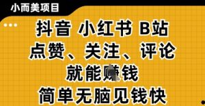 小而美的项目,抖音小红书B站视频点赞、关注、评论就能挣钱,简单无脑立见收益,妥妥的零撸项目【揭秘】-大兵轻创资源库