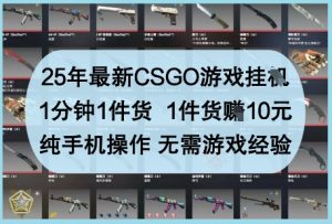 25年最新CSGO游戏挂G,1分钟1件货,1件货挣10元,纯手机操作,无需游戏经验【揭秘】-大兵轻创资源库