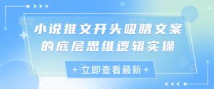 小说推文开头吸睛文案的底层思维逻辑实操-大兵轻创资源库
