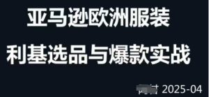 跨境电商选品案例24-25年,聚焦跨境电商选品策略与运营优化,助力卖家挖掘蓝海市场-大兵轻创资源库