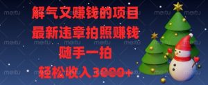 解气又挣钱的项目,最新违章拍照挣钱,随手一拍,轻松收入数张【揭秘】-大兵轻创资源库