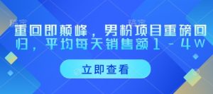重回即颠峰,男粉项目重磅回归,平均每天销售额1-4W-大兵轻创资源库