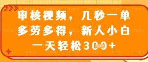 视频审核员,几秒一单,不限时间,不限地点,多做多得,新人小白一天轻松几张+【揭秘】-大兵轻创资源库