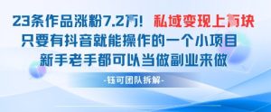 抖音私域项目23条作品涨粉7.2W,私域变现1W-大兵轻创资源库