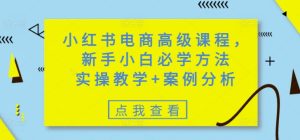小红书电商高级课程，新手小白必学方法，实操教学+案例分析-大兵轻创资源库