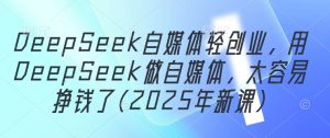DeepSeek自媒体轻创业，用DeepSeek做自媒体，太容易挣钱了(2025年新课)-大兵轻创资源库