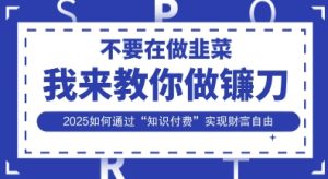 韭菜生涯终结者,我来教你做镰刀,2025如何通过“知识付费”实现财F自由【揭秘】-大兵轻创资源库