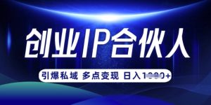 云帆·创业ip合伙人打造3.0,从0到1教你做网创,实现月入过W-大兵轻创资源库