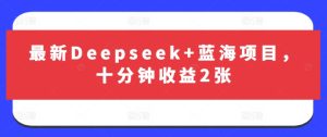 最新Deepseek+蓝海项目,十分钟收益2张-大兵轻创资源库
