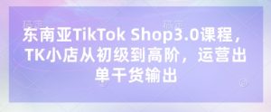 东南亚TikTok Shop3.0课程,TK小店从初级到高阶,运营出单干货输出-大兵轻创资源库