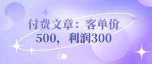 付费文章:客单价500,利润300-大兵轻创资源库