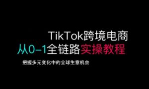 TikTok跨境电商从0-1全链路全方位实操教程,把握多元变化中的全球生意机会-大兵轻创资源库