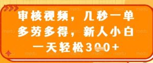 审核视频,几秒一单,多劳多得,新人小白一天轻松3张【揭秘】-大兵轻创资源库