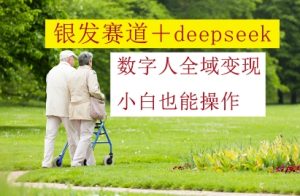 银发赛道+deepseek数字人全域变现，小白也能操作-大兵轻创资源库