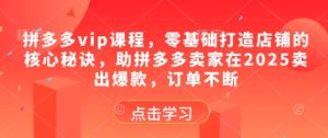 拼多多vip课程,零基础打造店铺的核心秘诀,助拼多多卖家在2025卖出爆款,订单不断-大兵轻创资源库