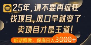 什么?25年你还在疯狂找项目做,醒醒吧,看完这些你全都懂了【揭秘】-大兵轻创资源库