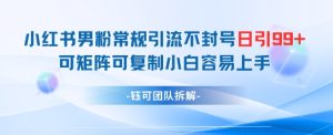 小红书男粉常规引流不封号日引99+变现简单 可矩阵可复制小白容易上手-大兵轻创资源库