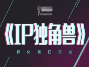 IP独角兽，孵化网红企业，ip教程-大兵轻创资源库
