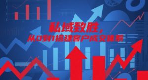 私域致胜,从0到1搭建客户成交体系-大兵轻创资源库