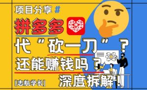 【2025最新】拼多多代坎助力项目深度拆解:还能挣钱吗?全流程玩法-大兵轻创资源库