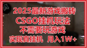 2025最新游戏搬砖,CSGO挂G,不需要玩游戏,实现真挂G,月入1W+【揭秘】-大兵轻创资源库