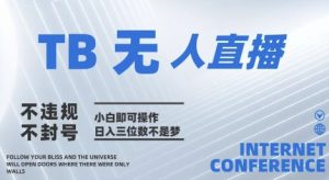 2025年淘宝无人直播带货10.0   全新技术,不违规,不封号,纯小白操作,日入几张【揭秘】-大兵轻创资源库