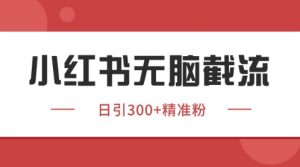 小红书只要你有同行就能获客,独家野路子获客玩法,暴力截流【揭秘】-大兵轻创资源库