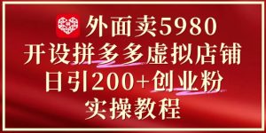 外面卖5980开设拼多多虚拟店铺:单日引流200+创业付费粉实战教程-大兵轻创资源库
