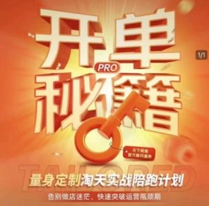 淘宝开单秘籍PRO,量身定制淘天实战陪跑计划,告别做店迷茫、快速突破运营瓶颈期(更新)-大兵轻创资源库