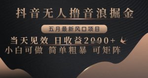 抖音无人撸音浪掘金,五月最新风口项目,当天见效,日收益多张,小白可做简单粗暴可矩阵【揭秘】-大兵轻创资源库