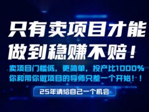 只有卖项目才能做到稳挣不赔,门槛低,更简单,你也可以年入百个W【揭秘】-大兵轻创资源库