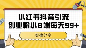 小红书抖音创业粉,小B端粉自热,日引99+的一个玩法【揭秘】-大兵轻创资源库