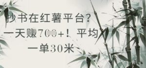 抄书在小红薯平台?平均一单30米,一天收益几张!-大兵轻创资源库