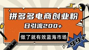 拼多多引流电商创业粉,日引200+,可矩阵放大,做了就有效【揭秘】-大兵轻创资源库