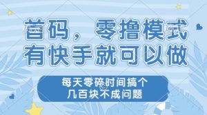 首码,零撸模式,有快手就可以做,每天零碎时间搞个几张不成问题【揭秘】-大兵轻创资源库