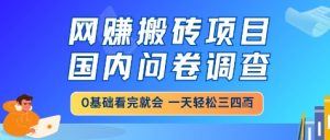 网创搬砖项目,国内问卷调查,小白轻松上手,一天三四张的也不难,干就完了【揭秘】-大兵轻创资源库