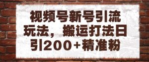 视频号新号引流玩法,搬运打法日引200+精准粉,可矩阵放大【揭秘】-大兵轻创资源库
