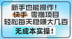 新手也能操作,快手零撸挣米,轻松每天挣2-5张,完全无成本-大兵轻创资源库
