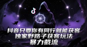 抖音只要你有同行就能获客,独家野路子获客玩法,暴力截流【揭秘】-大兵轻创资源库