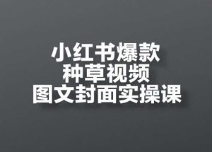 小红书爆款种草视频图文封面实操课,开店、选品、引流、变现全流程-大兵轻创资源库
