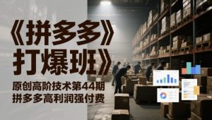 《拼多多打爆班》原创高阶技术第44期,拼多多高利润强付费-大兵轻创资源库