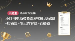 小红书电商带货课程实操:基础篇-选品篇-店铺篇-笔记内容篇-直播篇-大兵轻创资源库