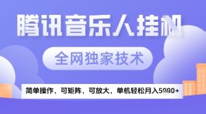 2025腾讯音乐挂G项目,全网独家技术,全新玩法,轻松月入5k+【揭秘】-大兵轻创资源库