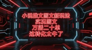 小说推文图文新玩法,实况图文,万播二十单,这转化太牛了!-大兵轻创资源库